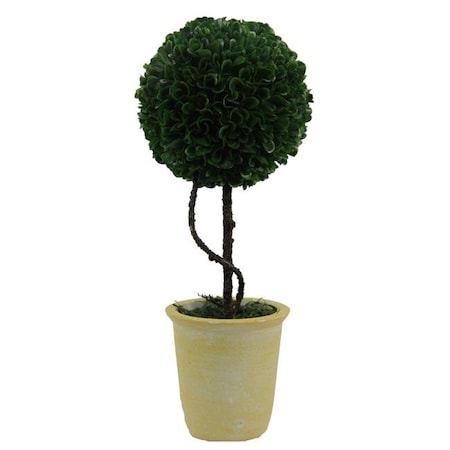 Adlmired By Nature Admired By Nature ABN5P010-GRN 13 in. Faux Preserved Artificial Boxwood Ball Topiary Plant Tabletop in Pot ABN5P010-GRN